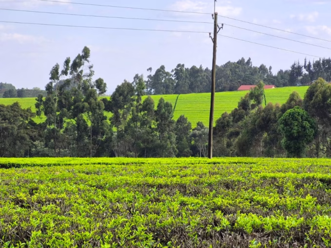Prime Land for Sale
