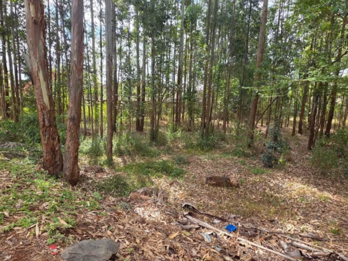 Prime Plot for Sale